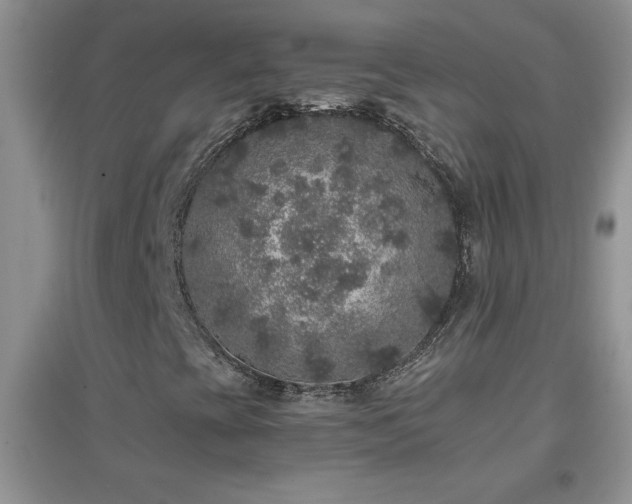 X0000097001393200802081433