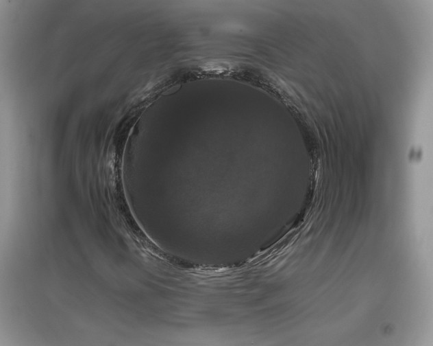 X0000097001394200802081433