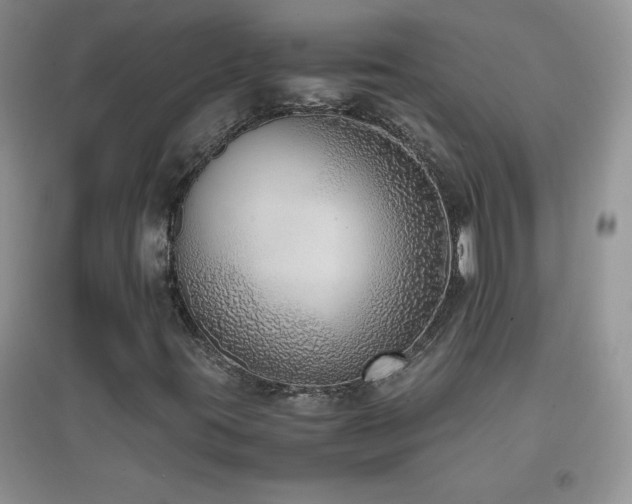 X0000097001395200802081433