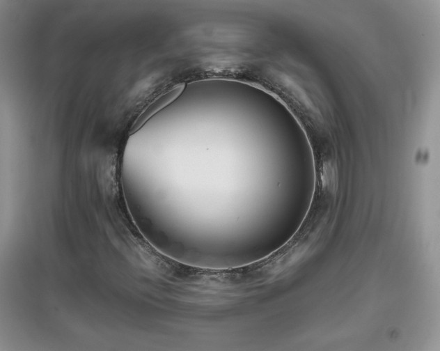 X0000097001396200802081434