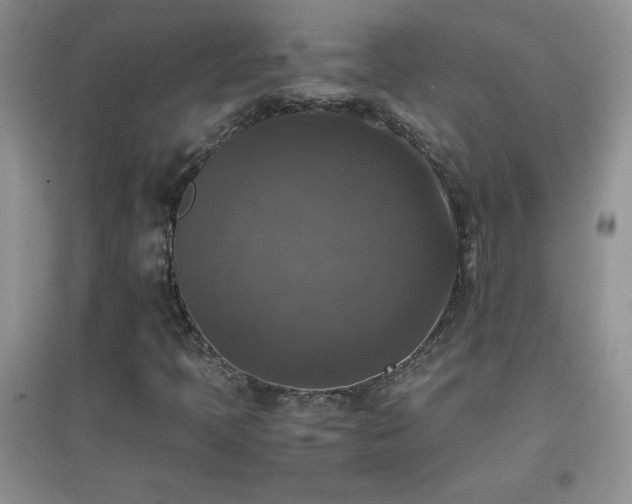 X0000097001397200802081434
