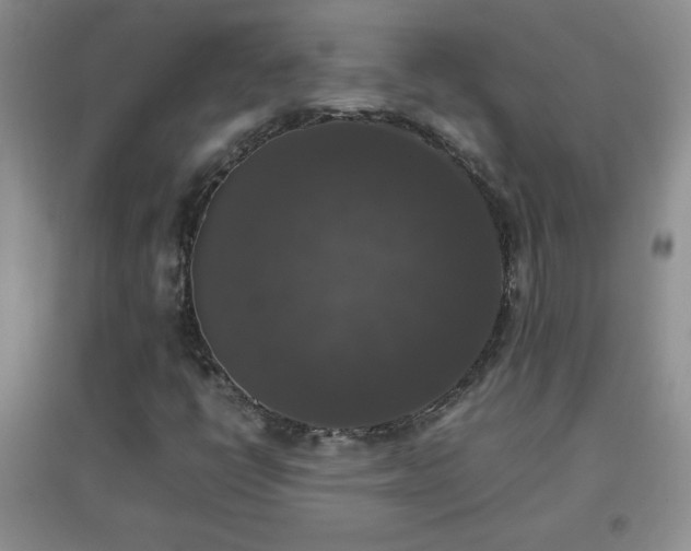 X0000097001398200802081434