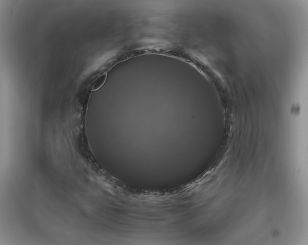 X0000097001399200802081434