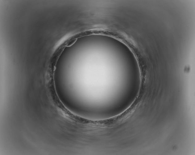 X0000097001400200802081434