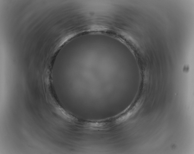 X0000097001401200802081434