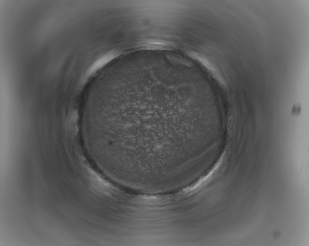 X0000097001402200802081434