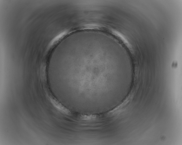 X0000097001403200802081434