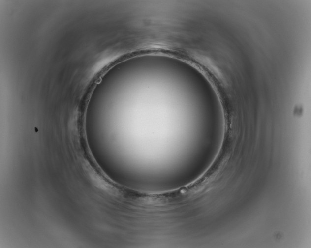 X0000097001404200802081434