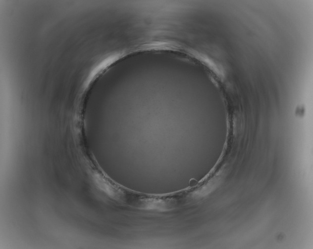 X0000097001405200802081434
