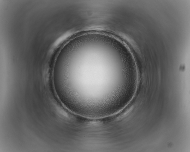 X0000097001406200802081434
