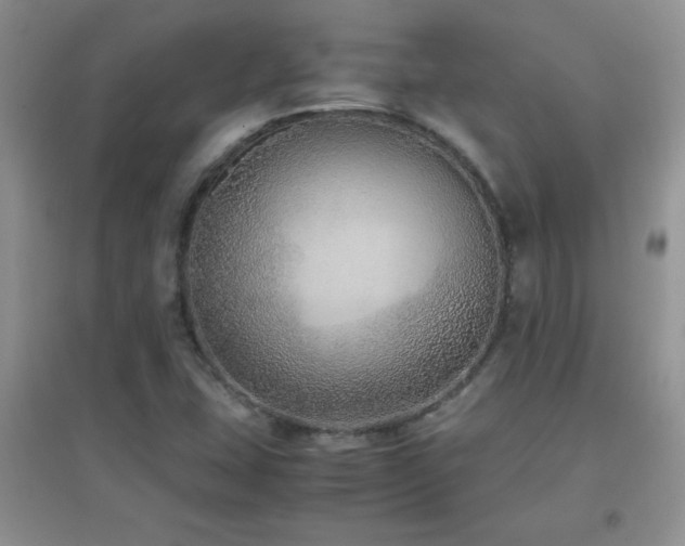 X0000097001407200802081434
