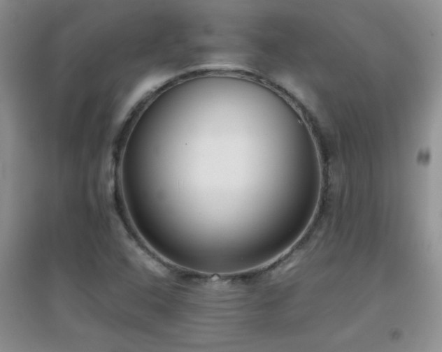 X0000097001408200802081434