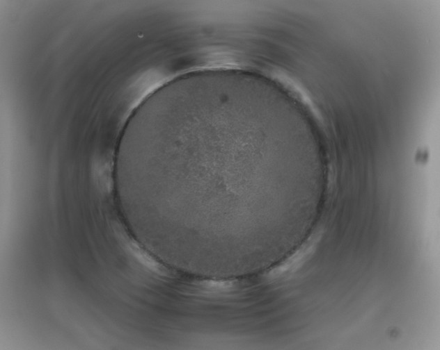 X0000097001409200802081434