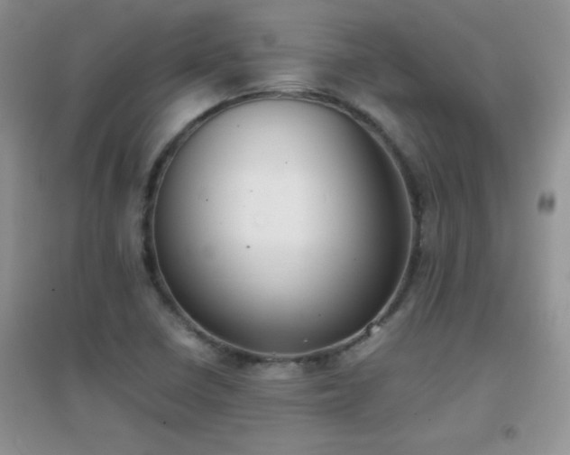 X0000097001410200802081434