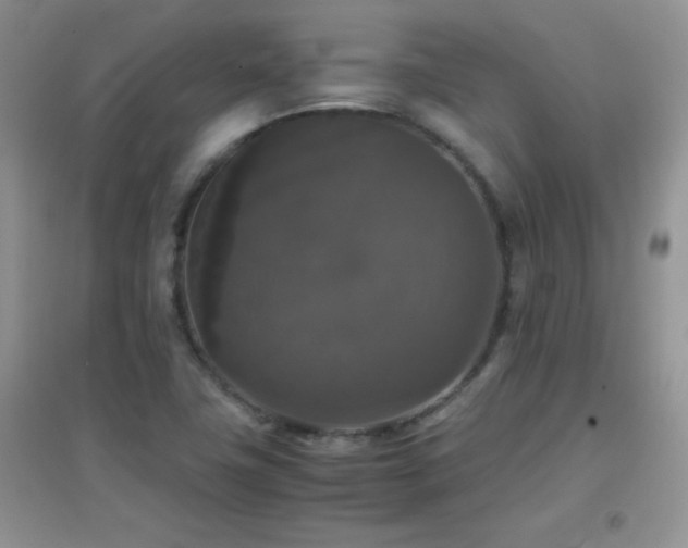 X0000097001411200802081434