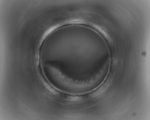X0000097001413200802081434