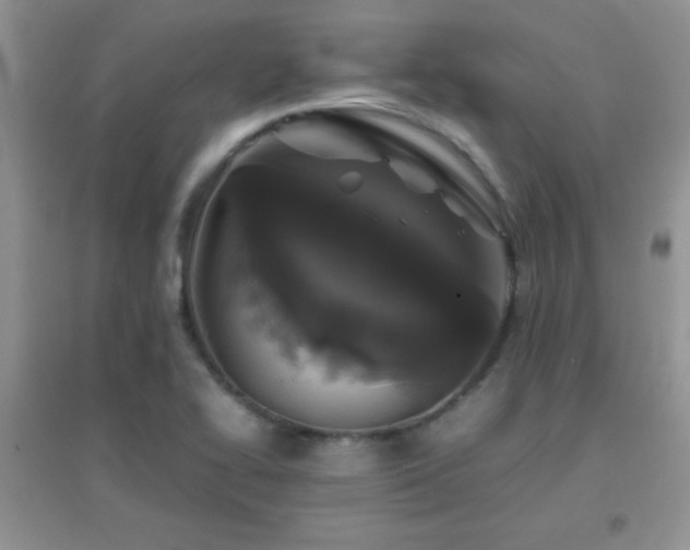 X0000097001414200802081434