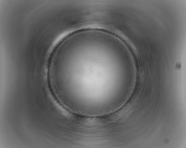 X0000097001416200802081434