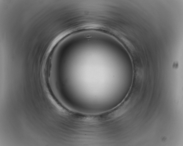 X0000097001418200802081434