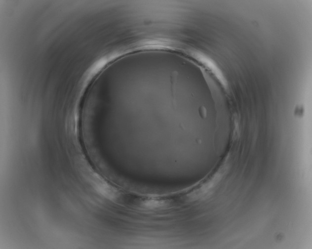 X0000097001419200802081434