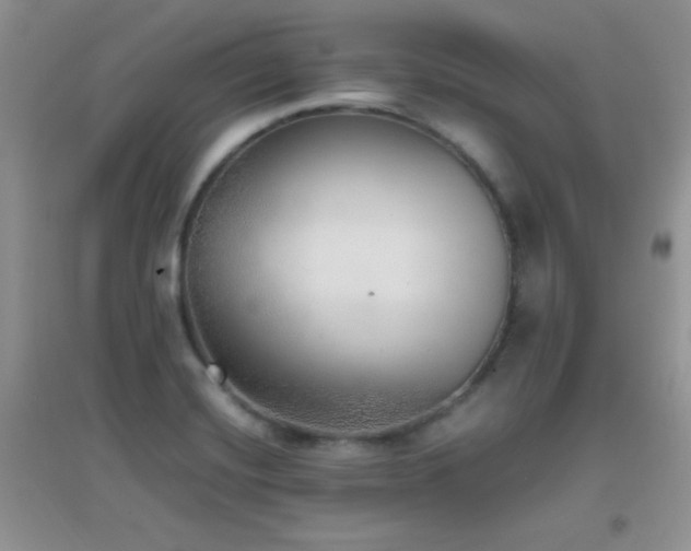 X0000097001420200802081434