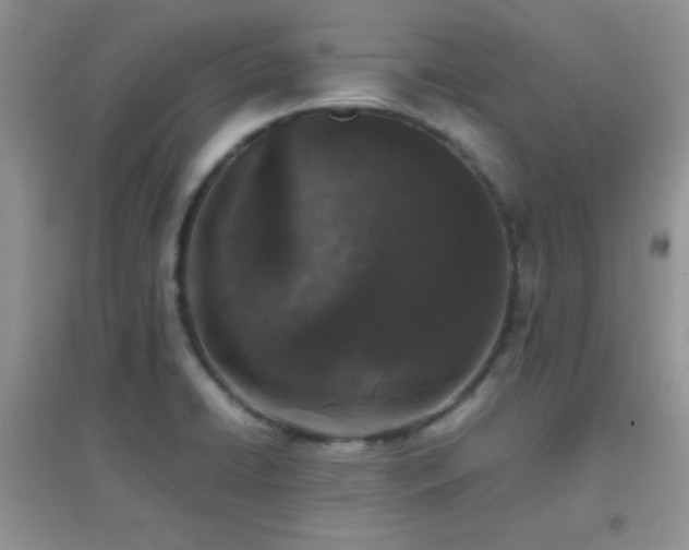 X0000097001422200802081434