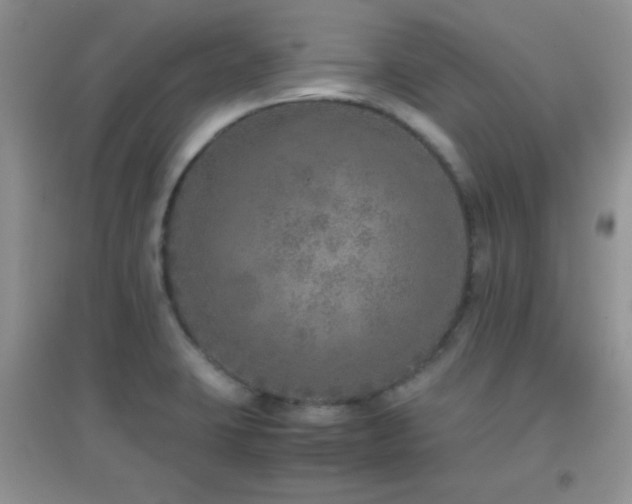 X0000097001423200802081434