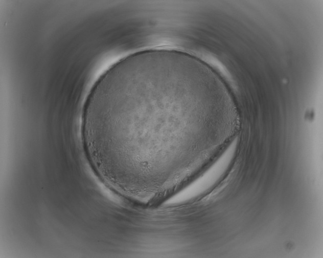 X0000097001424200802081434
