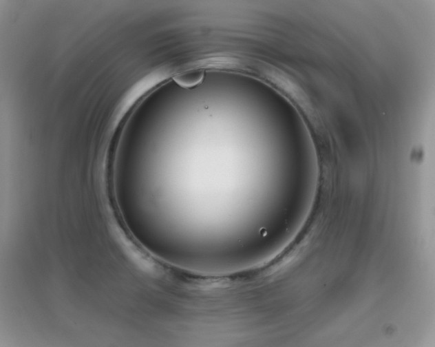X0000097001426200802081434