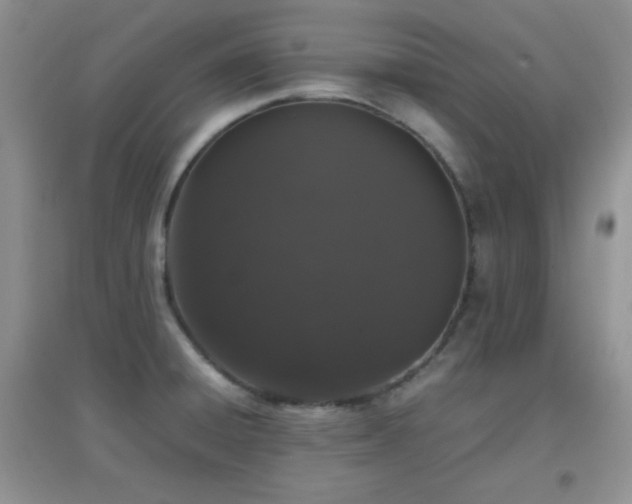 X0000097001428200802081434