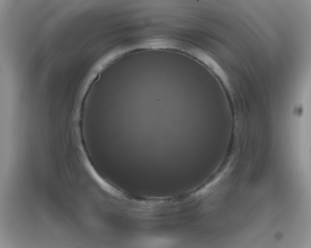 X0000097001429200802081434
