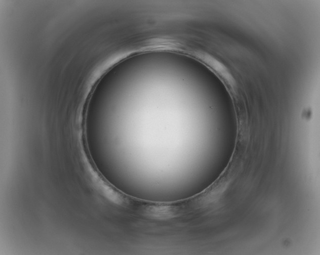 X0000097001431200802081434