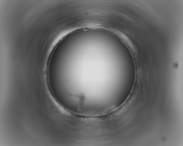 X0000097001432200802081434