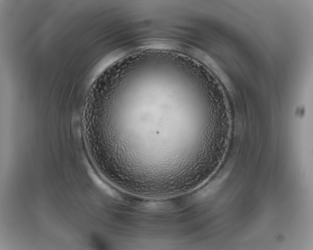 X0000097001433200802081434