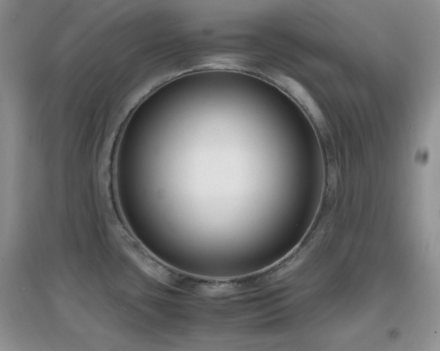 X0000097001435200802081434