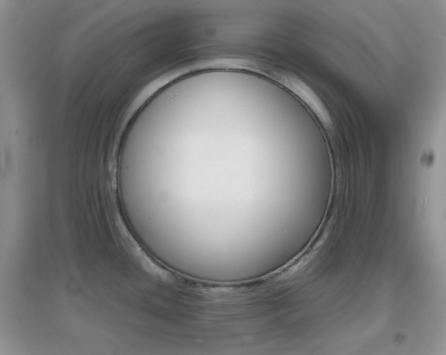 X0000097001436200802081434