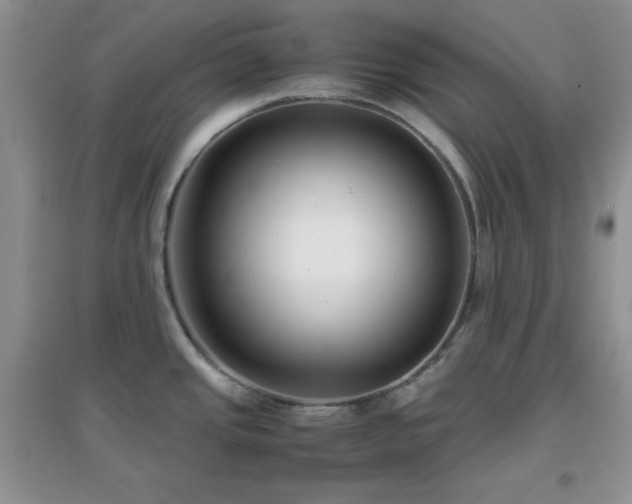 X0000097001437200802081434