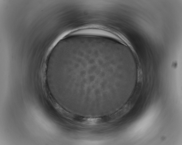 X0000097001438200802081434