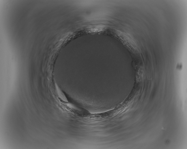 X0000097001441200802081433