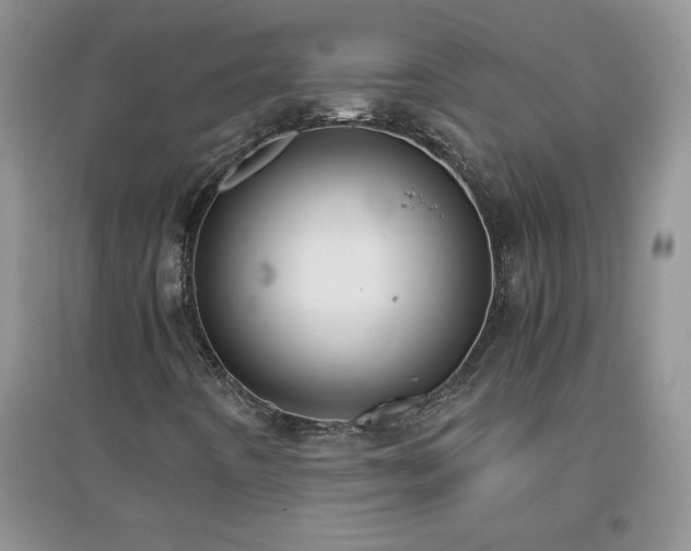X0000097001442200802081433