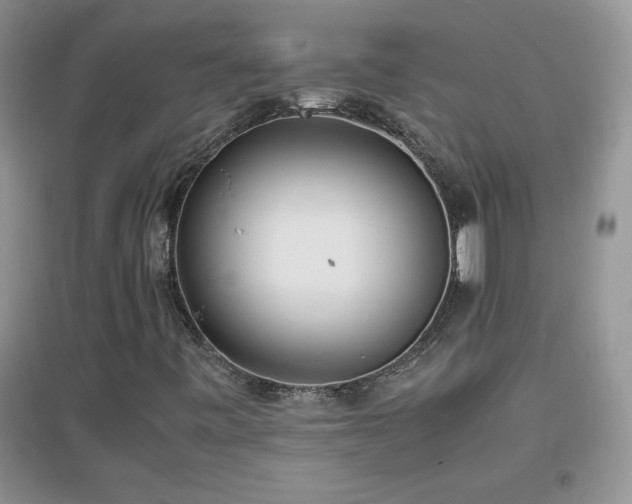 X0000097001443200802081433