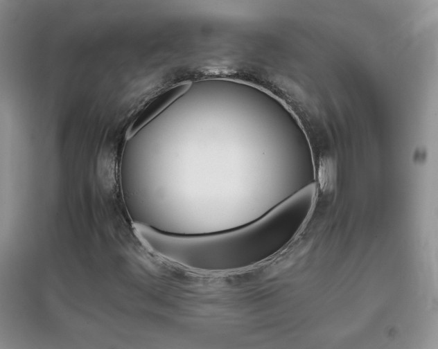 X0000097001444200802081433