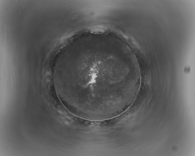 X0000097001445200802081433