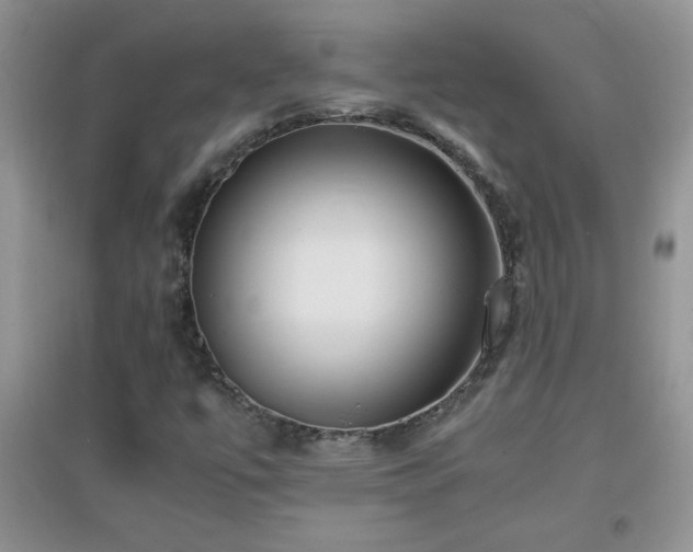 X0000097001447200802081433
