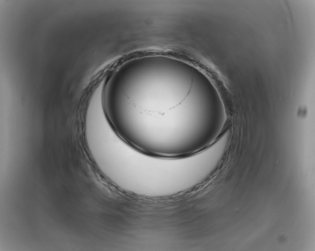 X0000097001448200802081433