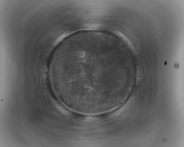 X0000097001449200802081433
