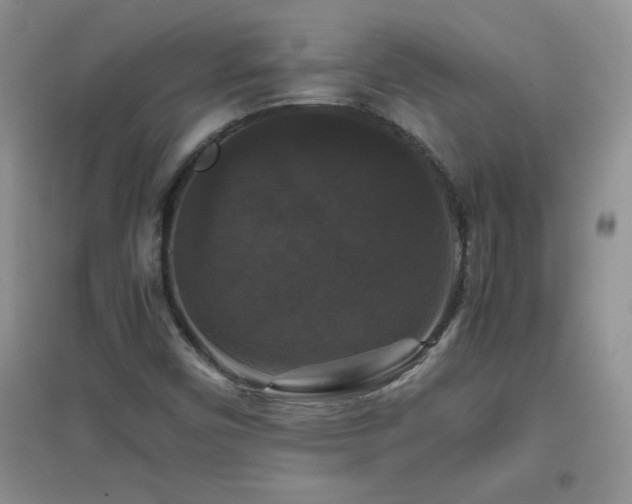 X0000097001450200802081433