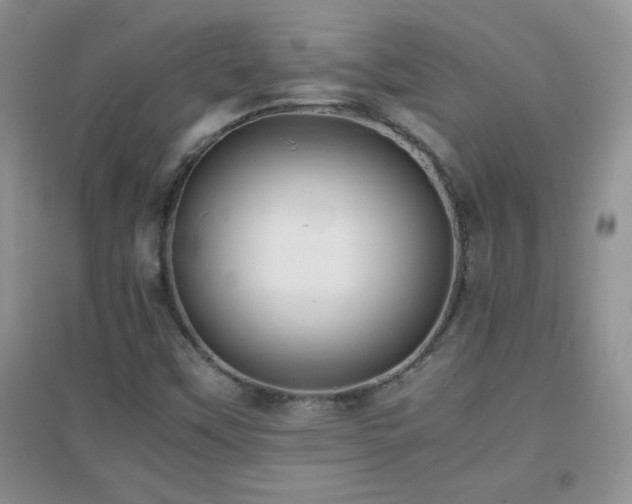 X0000097001451200802081433