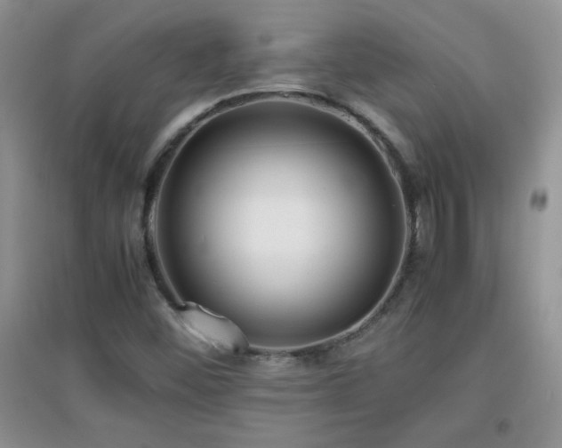X0000097001452200802081433