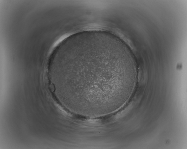 X0000097001453200802081433